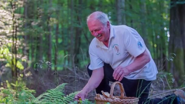 Hombre está feliz de encontrar un hermoso boletus — Vídeo de stock