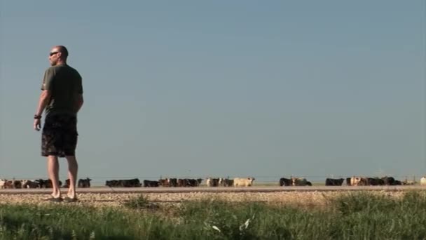 Person standing and looking to the left — Stock Video