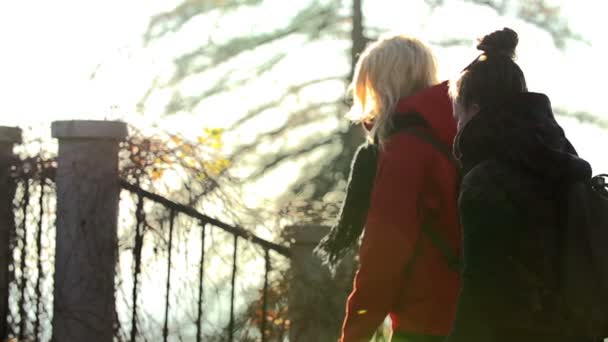 Mujeres jóvenes caminando — Vídeo de stock