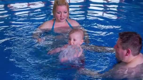 Newborn boy   swimming — Stock Video