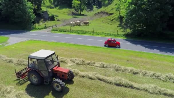 Auto passeert een trekker wanneer het hooi oogsten — Stockvideo