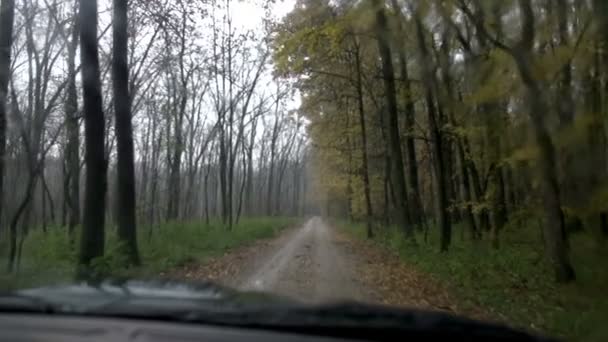 Водіння в дощовий день — стокове відео