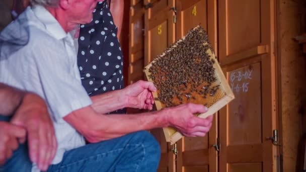 Um apicultor está descrevendo algo para o casal mais velho — Vídeo de Stock