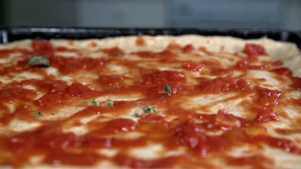 Добавление специй в тесто для пиццы — стоковое видео
