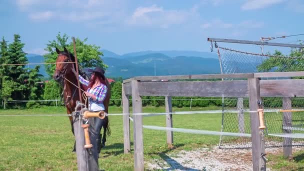Женщина гладит свою коричневую лошадь — стоковое видео