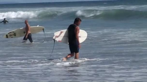 Surfista indo em direção às águas profundas — Vídeo de Stock