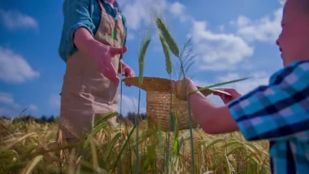 Pojke ger en hatt till bonden — Stockvideo