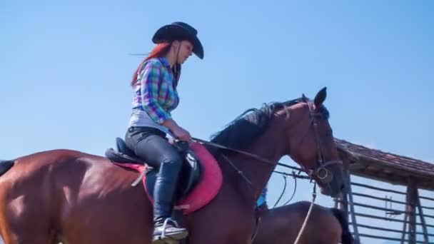 Vrouw is het berijden van een paard met paardkweker — Stockvideo