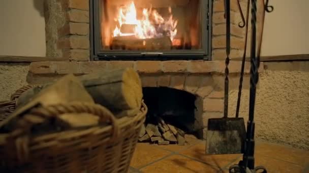 Indoor fireplace with a  logs burning — Stock Video