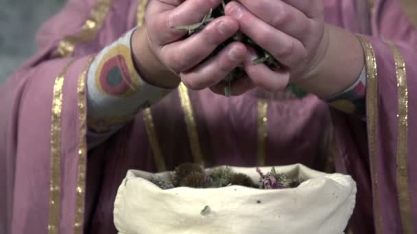 Les mains prennent des herbes du sac — Video