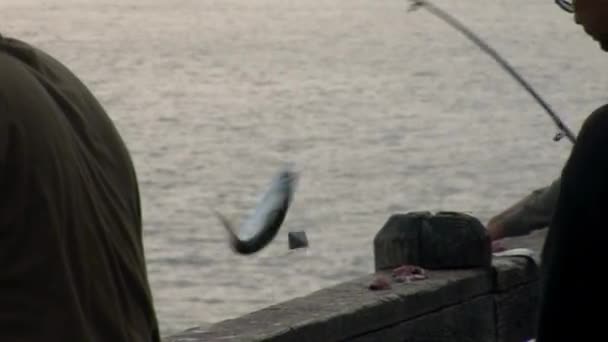 Les gars pêchent sur la côte de la mer — Video