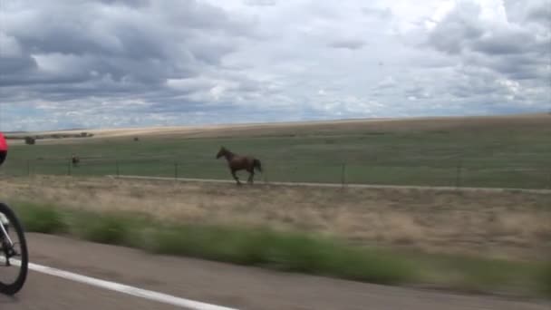 Na rowerze zawodnik awansując na torze — Wideo stockowe