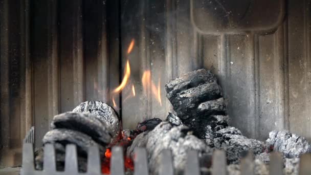 briquettes brûlent dans la cheminée 