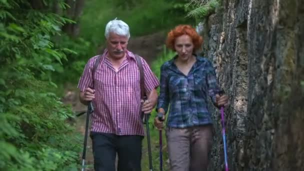 Twee senior wandelaars zijn wandelen met hun stokken — Stockvideo