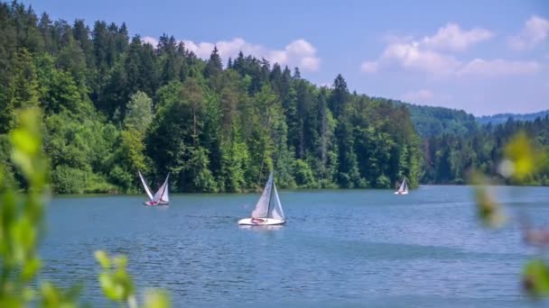 Segelboote bewegen sich langsam auf einem See — Stockvideo