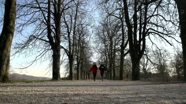 Mujeres jóvenes corriendo — Vídeo de stock