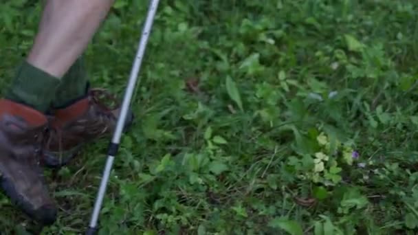 Man with trekking poles — Stock Video