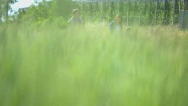 Семья гуляет по полям . — стоковое видео