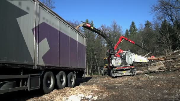 Machinery is chopping the trees — Stock Video