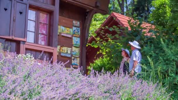 Um casal de idosos está em pé na frente do apiário — Vídeo de Stock