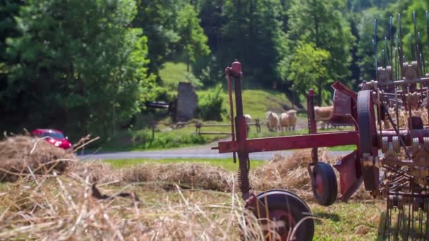 Red yugo stops on a country road — Stock Video