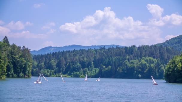 Wspaniały dzień nad jeziorem — Wideo stockowe