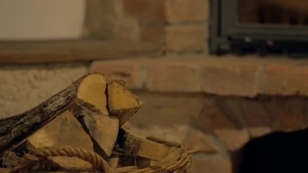 Inomhus spis med en loggar bränning — Stockvideo