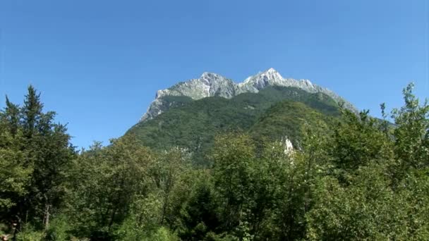 Foresta e alte montagne alpine — Video Stock