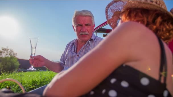 Senior couple having picnic — Stock Video