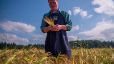 Çiftçi buğday sahada çalışıyor