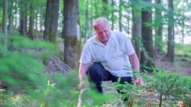 adam ormanda mantar topluyor