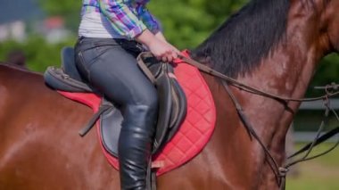 Bayan güzel kahverengi ata biniyor