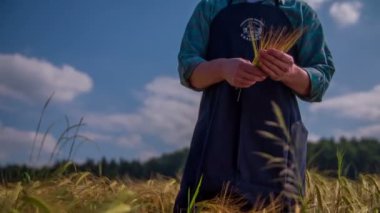 Çiftçi güneşli günde çalışıyor