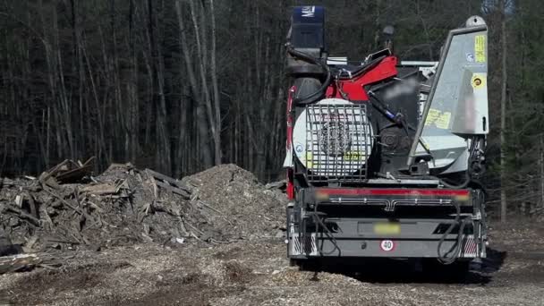 Heavy machinery is chopping the trees — Stock Video