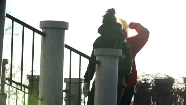 Frauen gehen im Park spazieren — Stockvideo