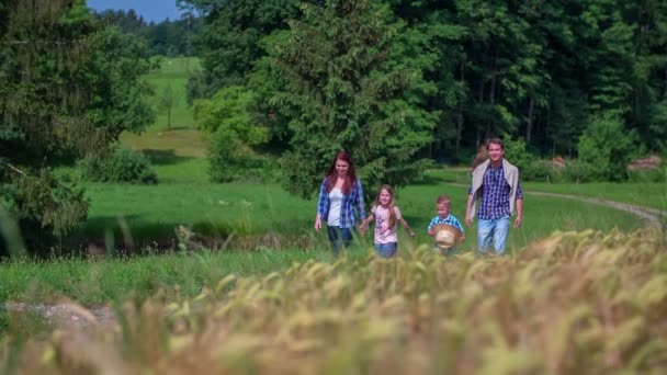 Familia está caminando en la naturaleza cerca del campo de trigo — Vídeo de stock