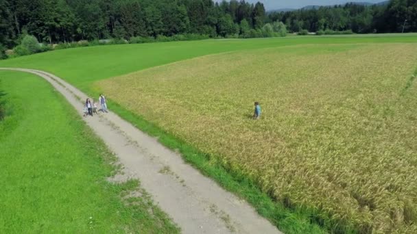 Familia caminando en el campo — Vídeo de stock