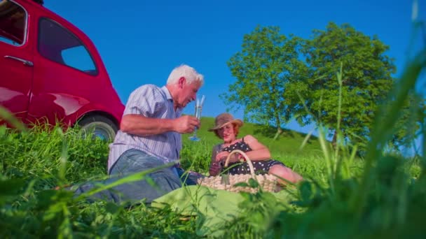 Idősebb pár piknikezik. — Stock videók