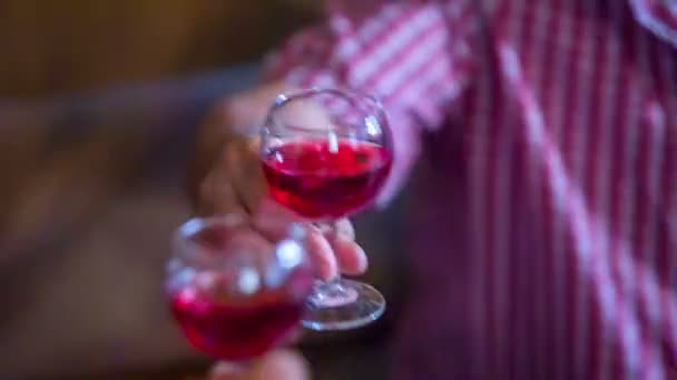 Par rostningen med vin under deras måltid på en restaurang — Stockvideo