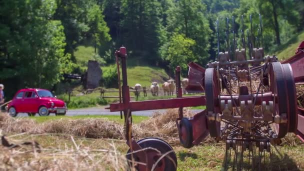 Coppia è in piedi accanto alla loro auto d'epoca — Video Stock