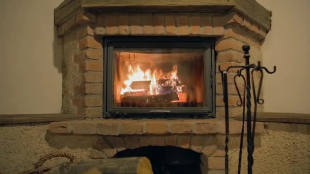 Εσωτερική εστία με ένα κούτσουρα που καίνε — Αρχείο Βίντεο