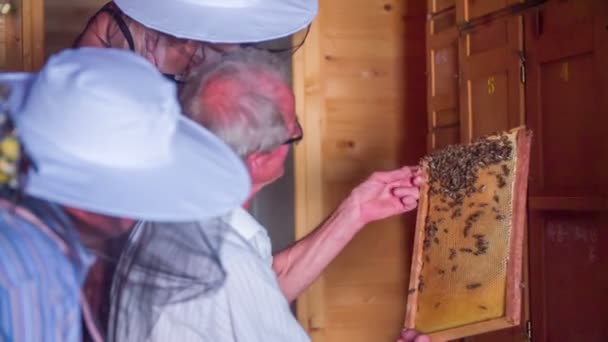 Ein Imker in diesem Bienenhaus zeigt den Besuchern den Vektor — Stockvideo