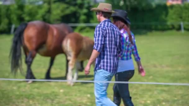 Pareja camina en los establos de equitación fuera — Vídeos de Stock