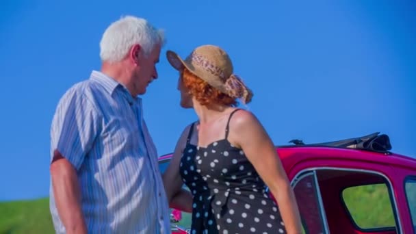 Couple standing by their car — Stock Video