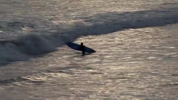 Person is entering the sea to surf — Stock Video