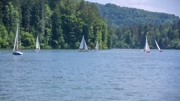 Парусные лодки плывут по озеру — стоковое видео