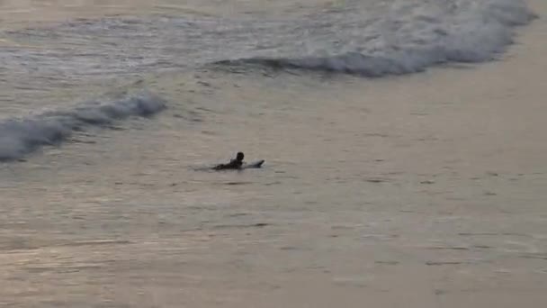 A pessoa cai do surfe para o mar — Vídeo de Stock