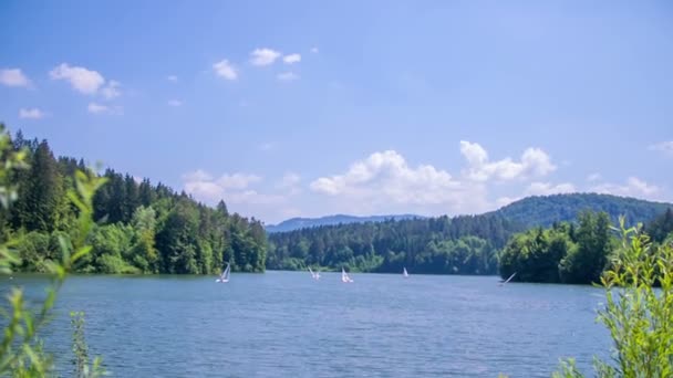 Красиві пейзажі на озері — стокове відео