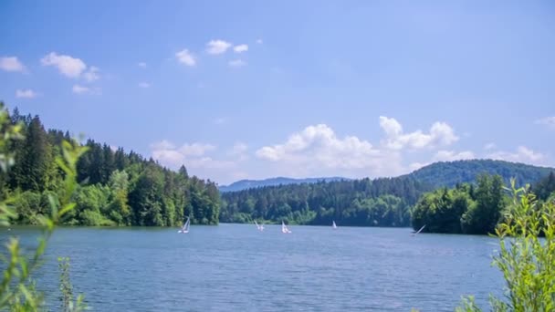 Bellissimo scenario sul lago — Video Stock