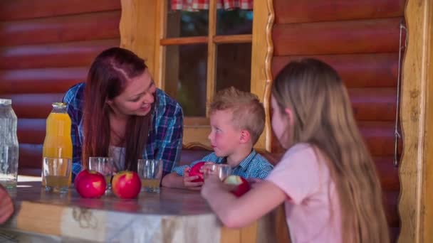 Мальчик и девочка едят органические яблоки — стоковое видео